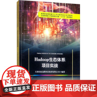 HADOOP生态体系项目实战 天津滨海迅腾科技集团有限公司 编 环境科学专业科技 正版图书籍 天津大学出版社