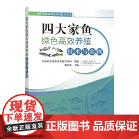 四大家鱼绿色高效养殖技术与实例 梁宏伟编 青鱼 草鱼 鲢鱼 鳙鱼苗种、成鱼、饲料、病害、鱼药、养殖尾水处理9787109