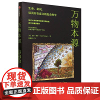 万物本源 改变你理解自己和世界方式 更松弛乐观心态融入生活 尼尔泰斯著 英文版如潮 美国亚马逊分形数学榜第1混沌科学