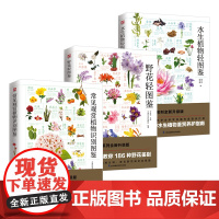 (全3册) 水生植物+野花轻图鉴+常见观赏植物识别图鉴 精选100余种水生植物图文详解从科属、别称到形态特征