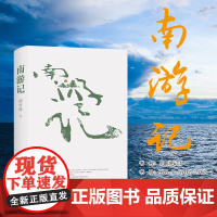 南游记 胡竹峰全新散文力作 分三卷 上卷陆离中卷南溟下卷黎歌 收录《快雪时晴帖》《出海》《江山大美》