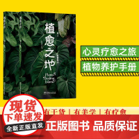 植愈之地 爱人先爱草木 16位作者讲述了16个他们与植物相关的故事 植物带来的疗愈力 2125 中国林业出版社