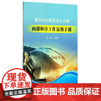 黄河水利委员会水文局内部审计工作实用手册