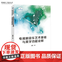 电视剧音乐艺术基础与美学功能诠释 高昱 著 21世纪高等院校影视艺术经典教材