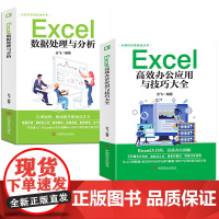 Excel高效办公应用与技巧大全+Excel数据处理与分析[全2册]函数图表透视表数据分析基础入门办公计算机从小白到大神