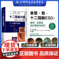 附实操视频 食管 胃 十二指肠ESD 操作 诊断和治疗基础与技巧+十二指肠内镜图谱 观察法 放大内镜 鉴别诊断