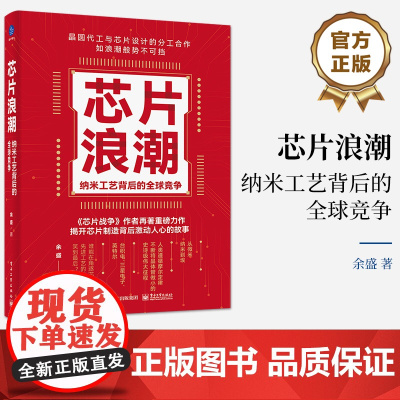 正版 芯片浪潮: 纳米工艺背后的全球竞争 余盛 纳米工艺的全球角逐史|芯片制造领袖人物的商战史 电子工业出版社