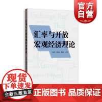 汇率与开放宏观经济理论 格致出版社