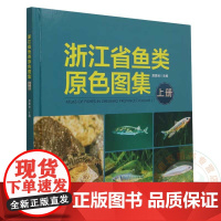 浙江省鱼类原色图集(上册)9787109306981 原居林 主编 中国农业出版社