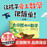 大自然中的数学4册儿童绘本3-6-7-8周岁幼儿园早教书籍启蒙一二三年级小学生课外阅读书籍睡前故事