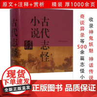 古代志怪小说鉴赏辞典 精装名家鉴赏文学评论与鉴赏古代明清小说明清传奇鉴赏辞典书籍