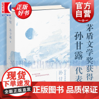 呼吸 孙甘露茅盾文学奖获得者作者长篇代表作上海文艺出版社爱的先锋小说正版图书籍 另著随笔集我又听到了郊区的声音