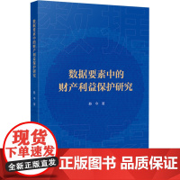 数据要素中的财产利益保护研究 苏今 著 法学理论社科 正版图书籍 人民法院出版社