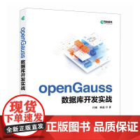 openGauss数据库开发实战 开源数据库系统开发AI人工智能数据库核心技术计算机书籍