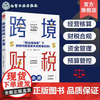 跨境财税一本通 跨境电商财税知识看这本就够 跨境电商成本控制降本增效 电商预算管理企业内部控制 电商企业财务团队管理跨境