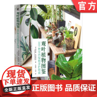 正版 观叶植物图鉴:500种室内绿植养护指南 Pavaphon Supanantananont 9787111760