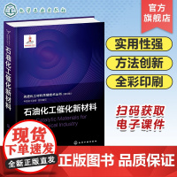 先进化工材料关键技术丛书 第二批 石油化工催化新材料 氧化铝材料 分子筛催化材料 重整催化新材料 生产芳烃催化新材料 催