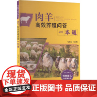 肉羊高效养殖问答一本通 马友记 编 畜牧/养殖专业科技 正版图书籍 中国农业出版社