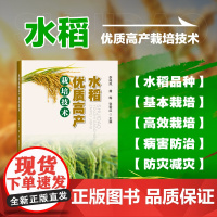 正版书籍 水稻高产栽培技术 水稻生产概述 水稻生产未来的发展方向 基本栽培技术科普书 中国农业科学技术出版社