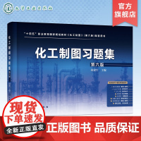 化工制图习题集 胡建生 第六版 教师备课用习题答案 教师讲解习题用答案 学生用习题答案 高职高专院校应用化工技术制图课配