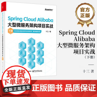 店 Spring Cloud Alibaba大型微服务架构项目实战 下册 十三 著 Spring Cloud Aliba