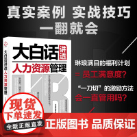 正版 大白话讲透人力资源管理 HR进阶公司管理人员职场指南 HR工作日常解答手册 人力资源管理工作问题绩效薪资解决方案指