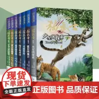 猫武士外传长篇小说全套7册8-12岁儿童幻想小说故事书中小学生课外书火星的探究 蓝星的语言高星的复仇不为人知的故事