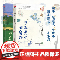 世界是个肥皂泡:名家笔下的惊艳文案、相见恨晚的灵魂金句、美到极致的治愈手册