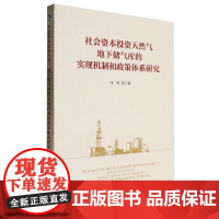 社会资本投资天然气地下储气库的实现机制和政策体系研究