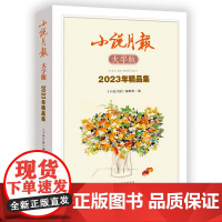 小说月报大字版2023年精品集