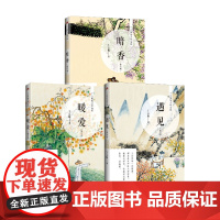 遇见+ 暖爱+暗香 丁立梅 著 散文 文学 金城出版社