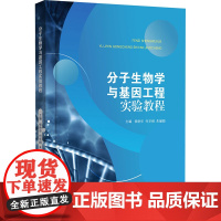 分子生物学与基因工程实验教程 杨艳华,何华纲,朱姗颖 编 大学教材大中专 正版图书籍 江苏大学出版社