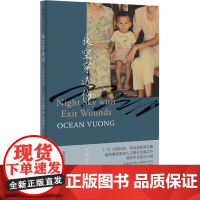 夜空穿透伤 王鸥行诗集 (美)王鸥行 著 何颖怡 译 外国诗歌文学 正版图书籍 北京联合出版公司