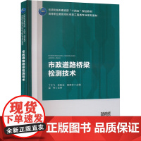 市政道路桥梁检测技术 丁王飞,李和志,高彦芝 编 大学教材大中专 正版图书籍 中国建筑工业出版社