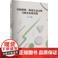 可持续的一体化生态文明与绿色发展实践 程正 著 环境科学经管、励志 正版图书籍 文化发展出版社