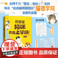 流浪猫救助顶流—猫德学院首部作品集 《就算是猫咪也要上学呀!》一场人与猫、人与城市的相互救赎