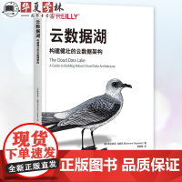 正版 云数据湖 构建健壮的云数据架构 [美]鲁克米尼·戈帕兰 计算机 数据架构 数据湖 机械工业出版社 97871117