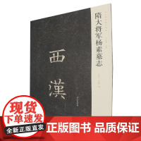 隋大将军杨素墓志