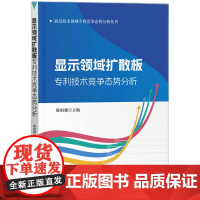 显示领域扩散板专利技术竞争态势分析