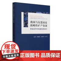 我国与东盟国家战略性矿产资源安全合作与制度创新研究