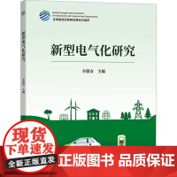 新型电气化研究 辛保安 编 电工技术/家电维修专业科技 正版图书籍 中国电力出版社