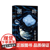 预售 湖畔 (日)东野圭吾 著 沈杨 译 外国小说文学 正版图书籍 化学工业出版社