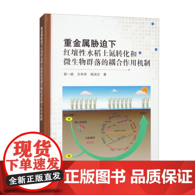 重金属胁迫下红壤性水稻土氮转化和微生物群落的耦合作用机制 水稻土Cu和Cd协同污染对土壤细菌群落的影响 协同污染对土壤影