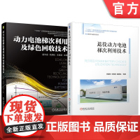 套装 退役动力电池梯次利用技术+动力电池梯次利用及绿色回收技术 套装全2册 退役动力电池梯次利用的技术流程原理书籍