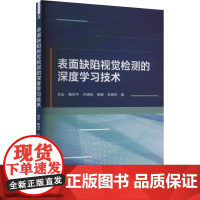 表面缺陷视觉检测的深度学习技术 郑宏 等 著 冶金工业专业科技 正版图书籍 武汉大学出版社