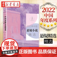 2022年中国悬疑小说精选 2022中国年选系列 悬疑小说年度文学选本 收录时空画师 江雪 百万赢家 牛顿与希波克拉底等