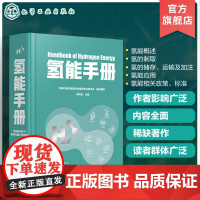氢能手册 氢能技术 我国首部氢能手册 全面展现氢能技术现状和技术发展 氢能方面工具书 高等院校新能源化工冶金材料等专业参