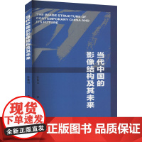 当代中国的影像结构及其未来 孙佳山 著 影视理论 艺术 文化艺术出版社