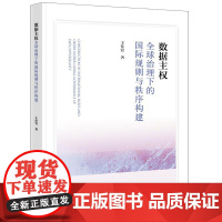 数据主权:全球治理下的国际规则与秩序构建 王佳宜著 法律出版社