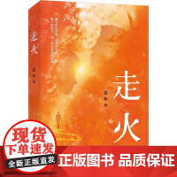 走火/盈年 盈年 著 中国现当代文学 文学 作家出版社